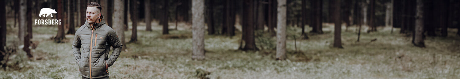 Hain, Land, Baum, Vegetation, Wald